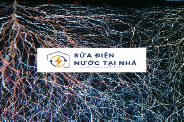Nhiễm điện: Nguyên Nhân, Hậu Quả Và Biện Pháp Phòng Tránh